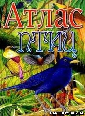 Зображення, постер Бабенко В.Г. Атлас птахів 