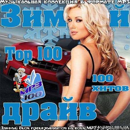 Зображення, постер Top 100 Зимний драйв (2013)