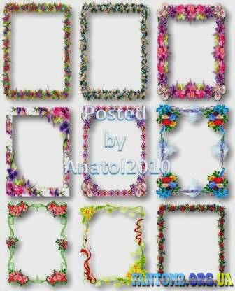Зображення, постер Рамочки із квітів на прозорому фоні
