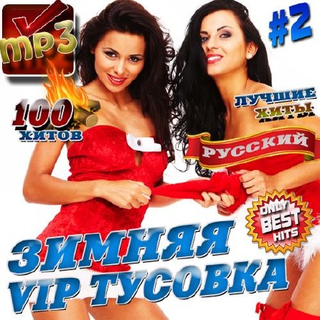 Зимняя VIP тусовка №2 (2015)